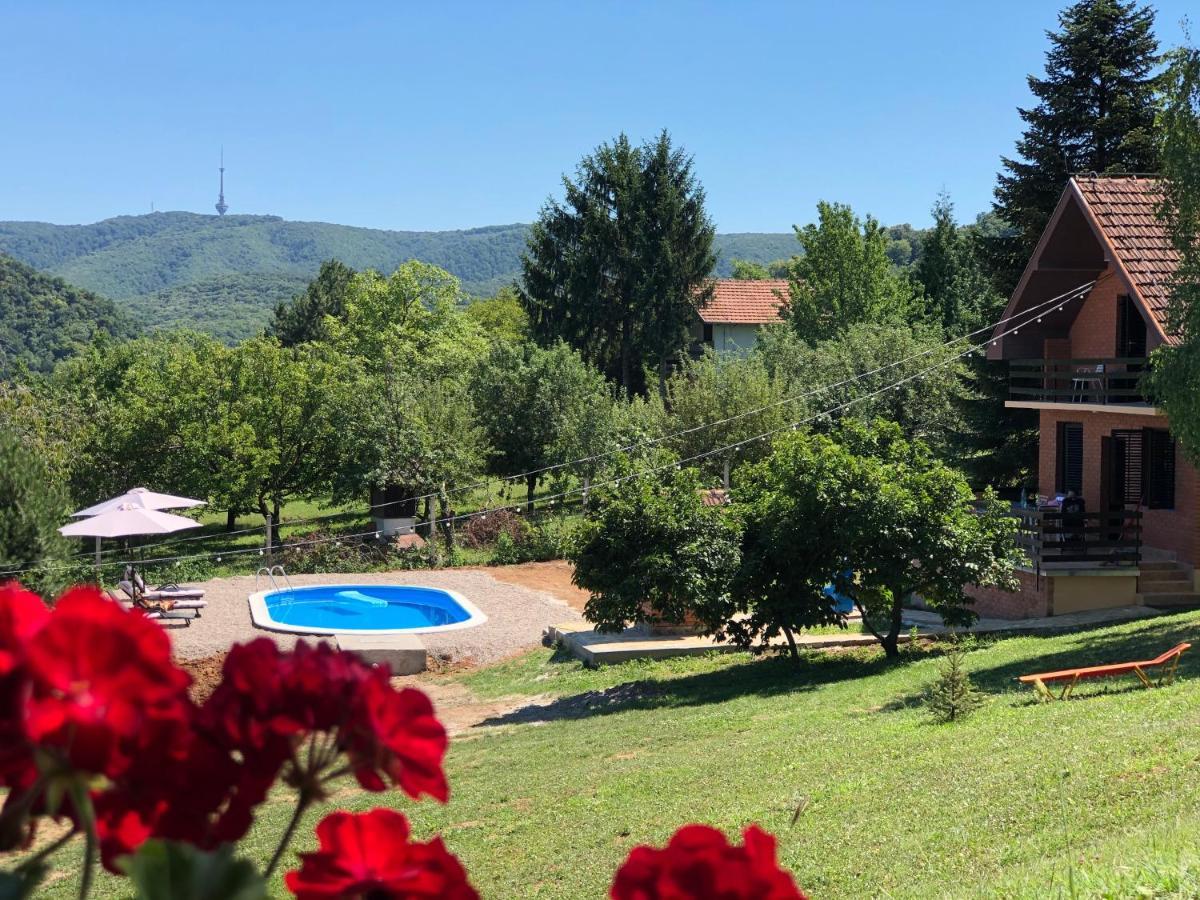 Villa Fruska Pool House à Sremska Kamenica Extérieur photo