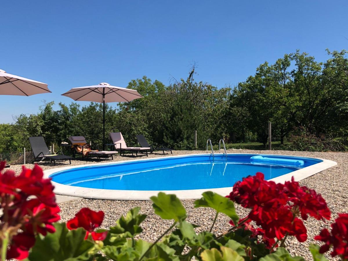Villa Fruska Pool House à Sremska Kamenica Extérieur photo