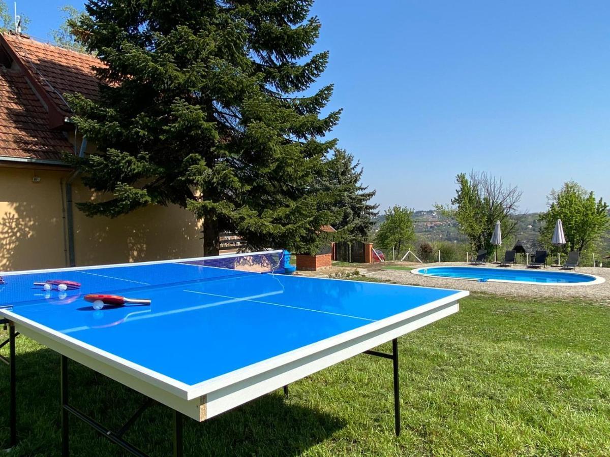 Villa Fruska Pool House à Sremska Kamenica Extérieur photo