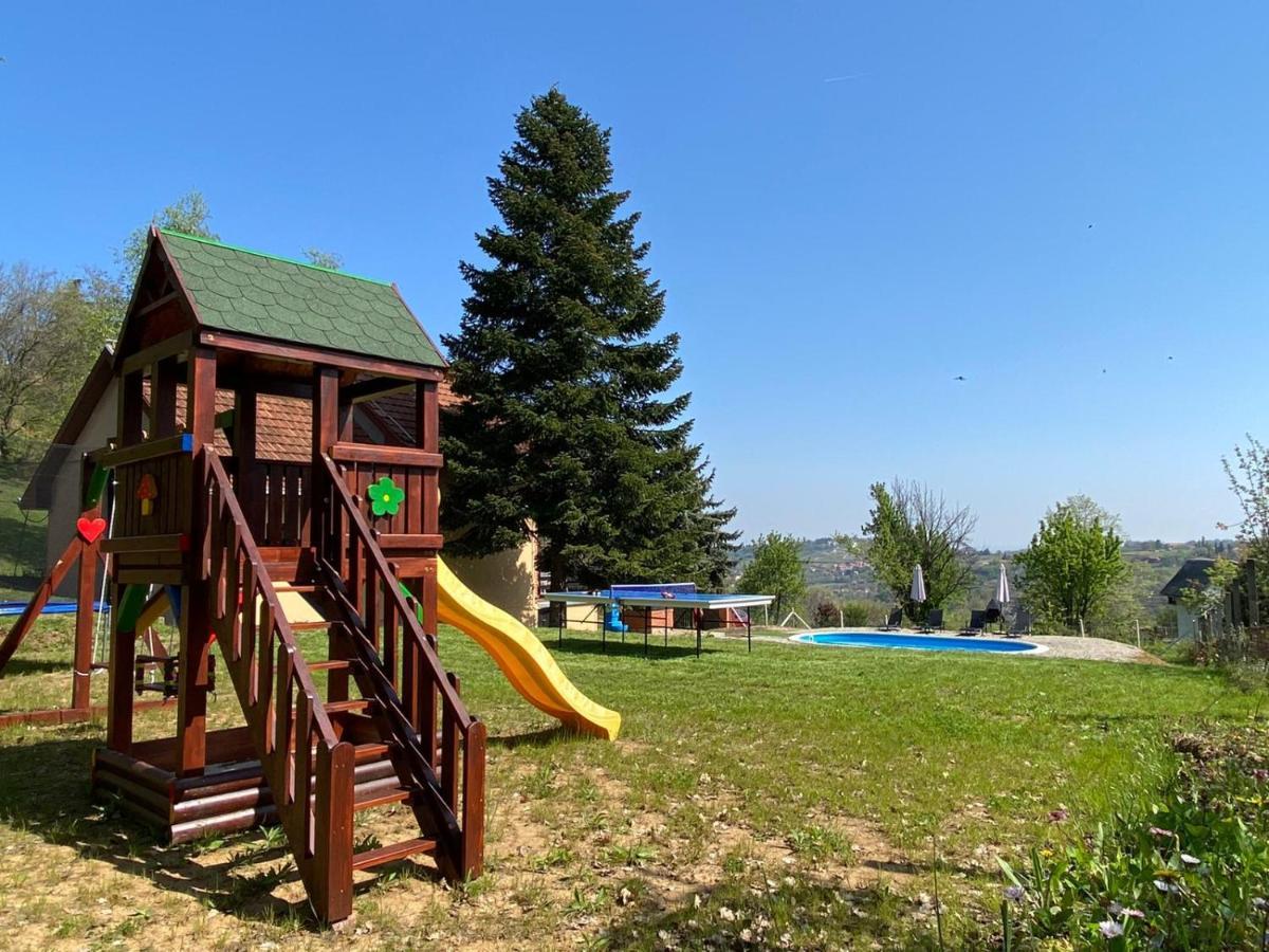 Villa Fruska Pool House à Sremska Kamenica Extérieur photo