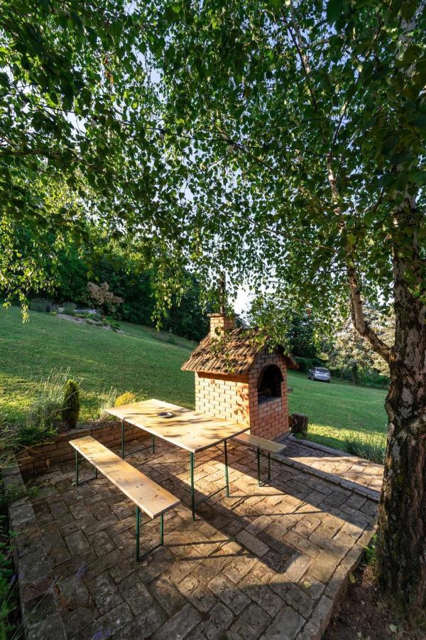 Villa Fruska Pool House à Sremska Kamenica Extérieur photo