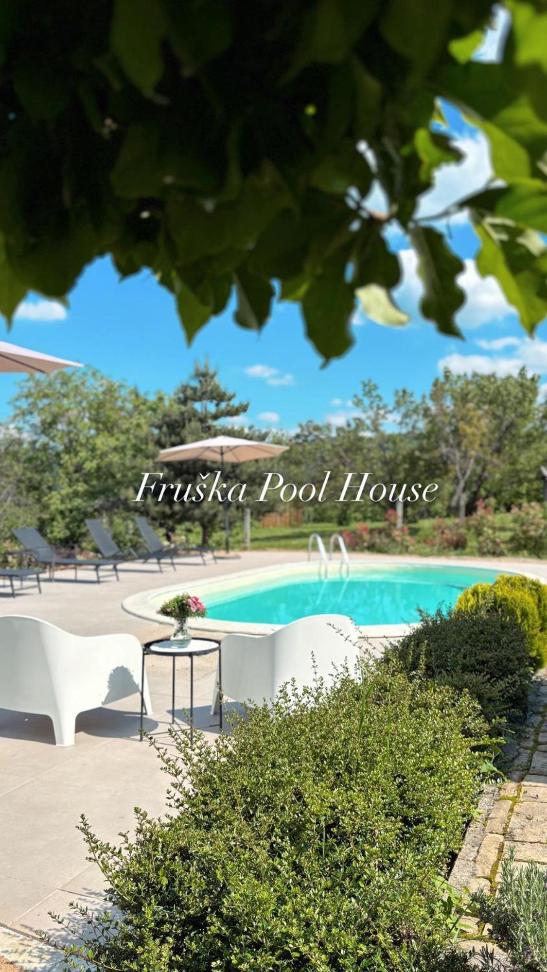 Villa Fruska Pool House à Sremska Kamenica Extérieur photo