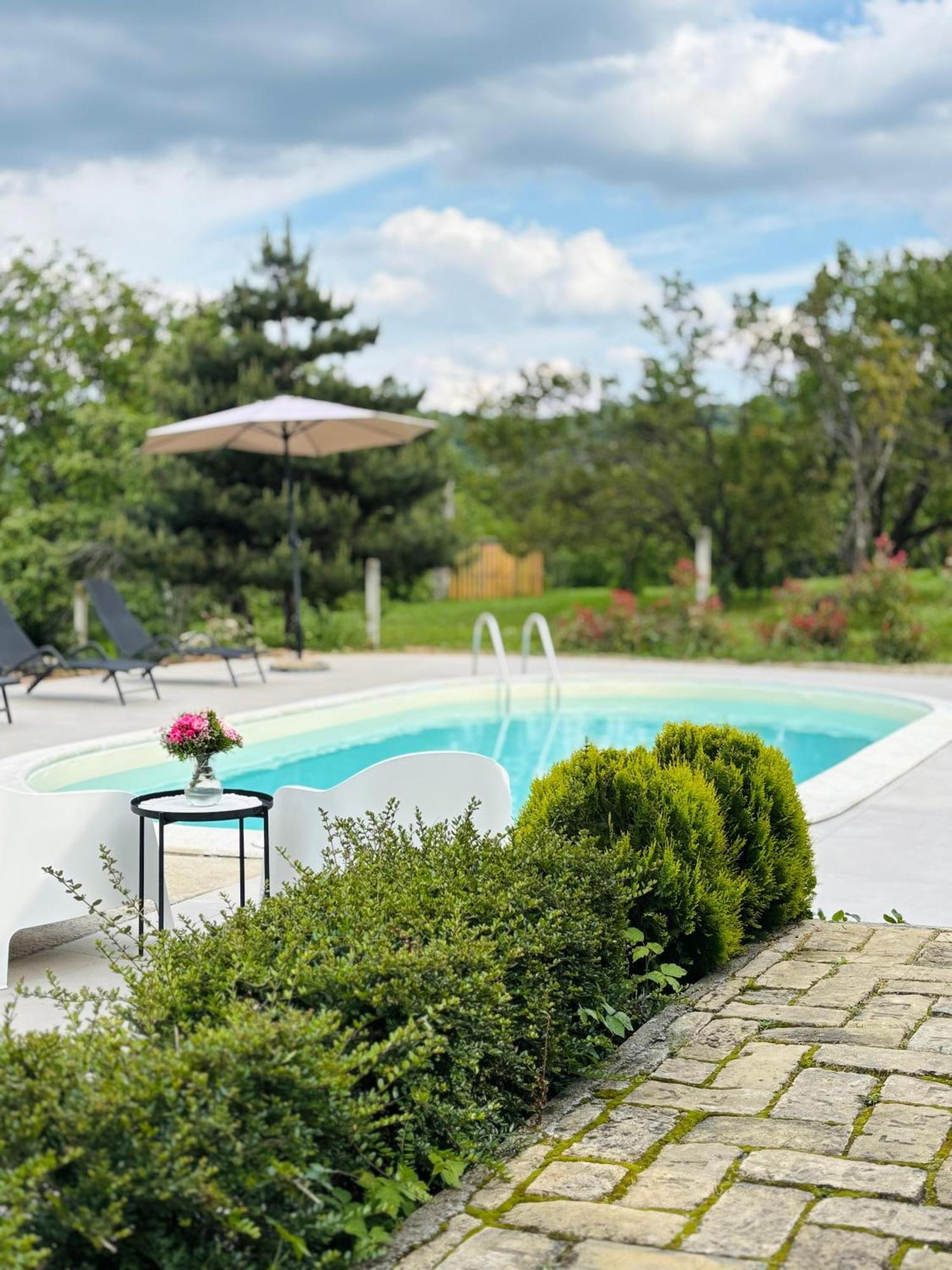 Villa Fruska Pool House à Sremska Kamenica Extérieur photo