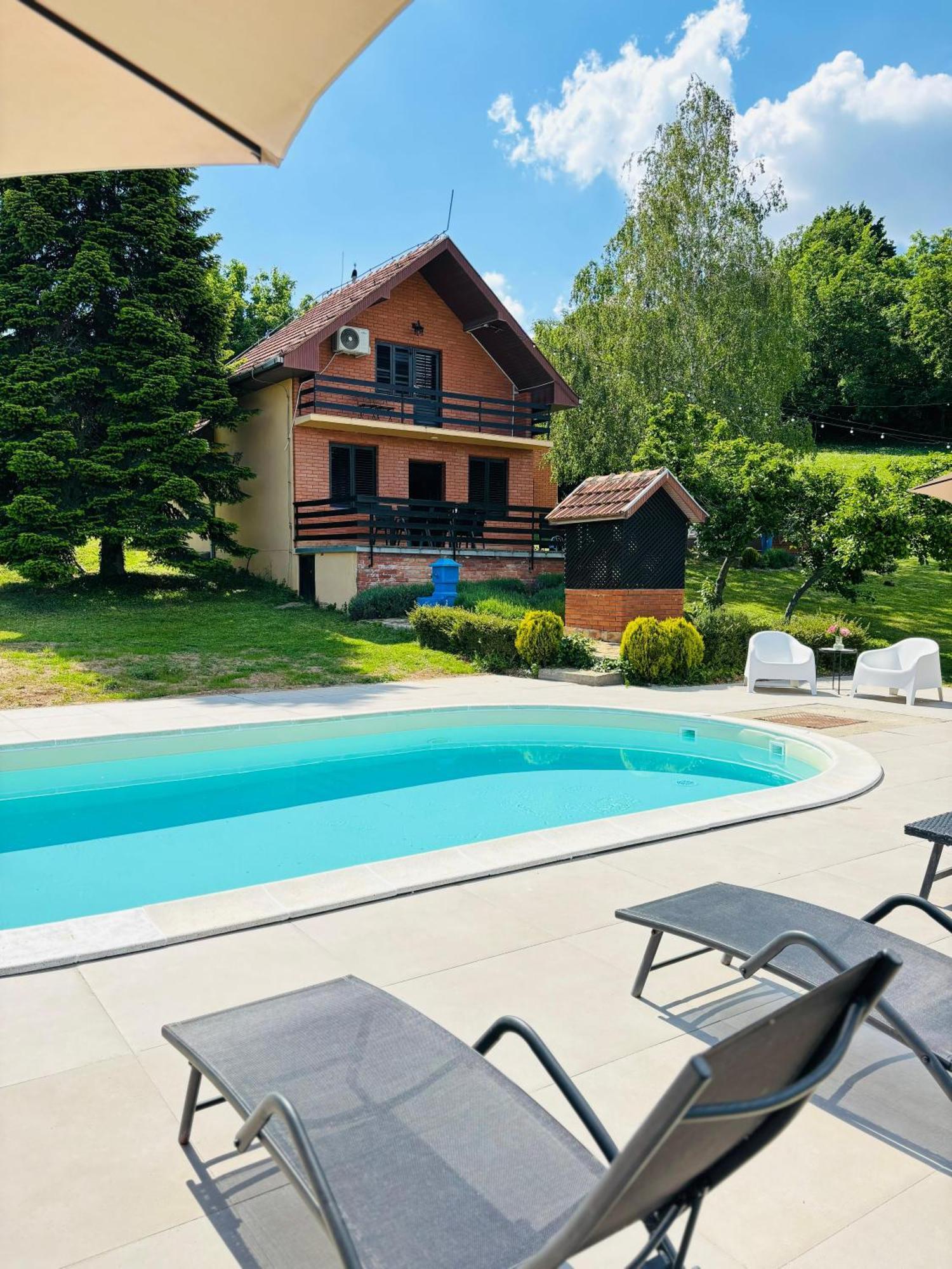 Villa Fruska Pool House à Sremska Kamenica Extérieur photo